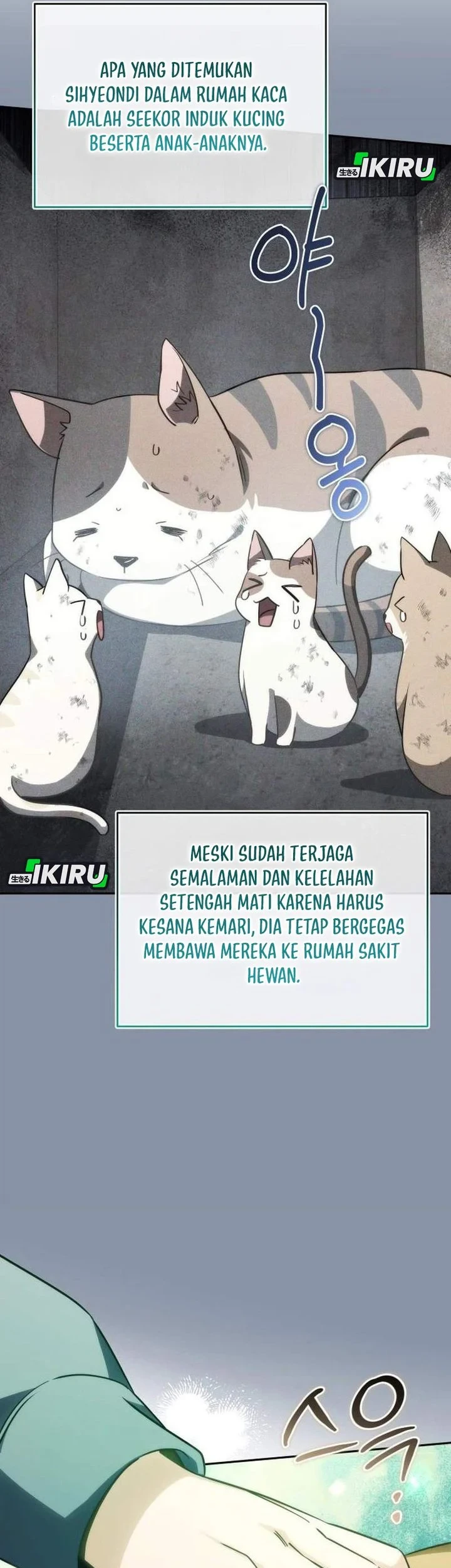 Healing With Drubly Chapter 15 Gambar 5