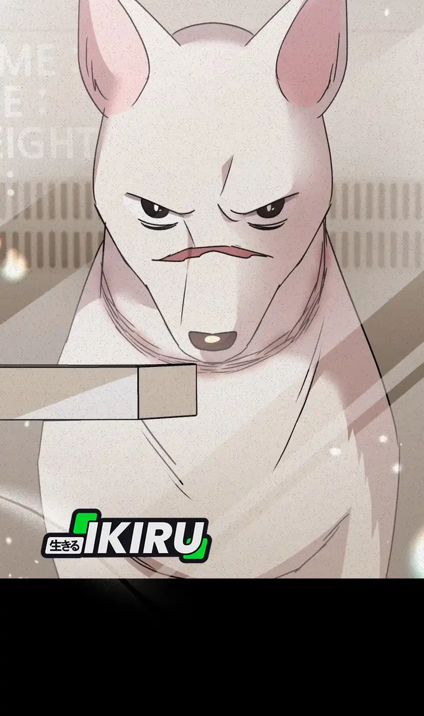 Hello? Veterinarian! Chapter 117 Gambar 7