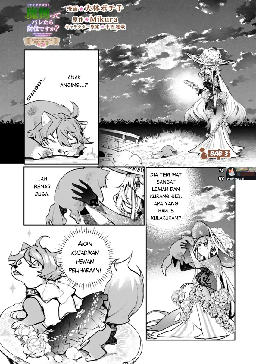 Mandragora tte Baretara Toubatsu desu ka?: Hana no Majo no Hohoemi wa Kanchigai no Tane o Maku Chapter 3.1 Gambar 3