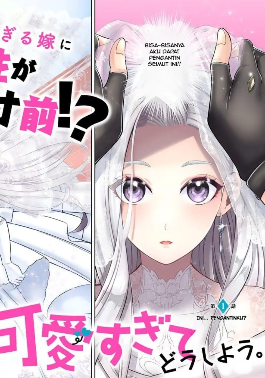 Rinkoku kara Kita Yome ga Kawaisugite Doushiyou Chapter 1 Gambar 3