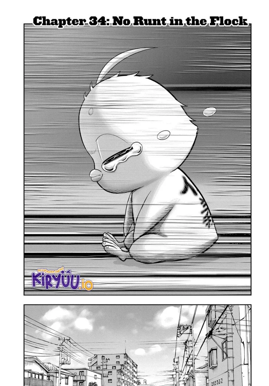 Rooster Fighter Chapter 34 Gambar 3