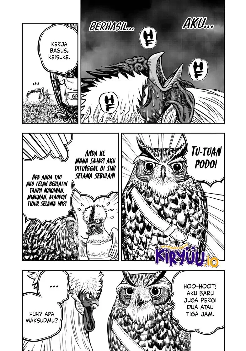 Rooster Fighter Chapter 49 Gambar 5