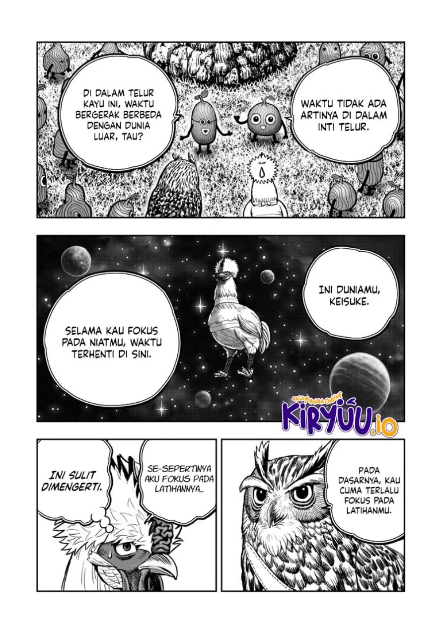 Rooster Fighter Chapter 50 Gambar 5