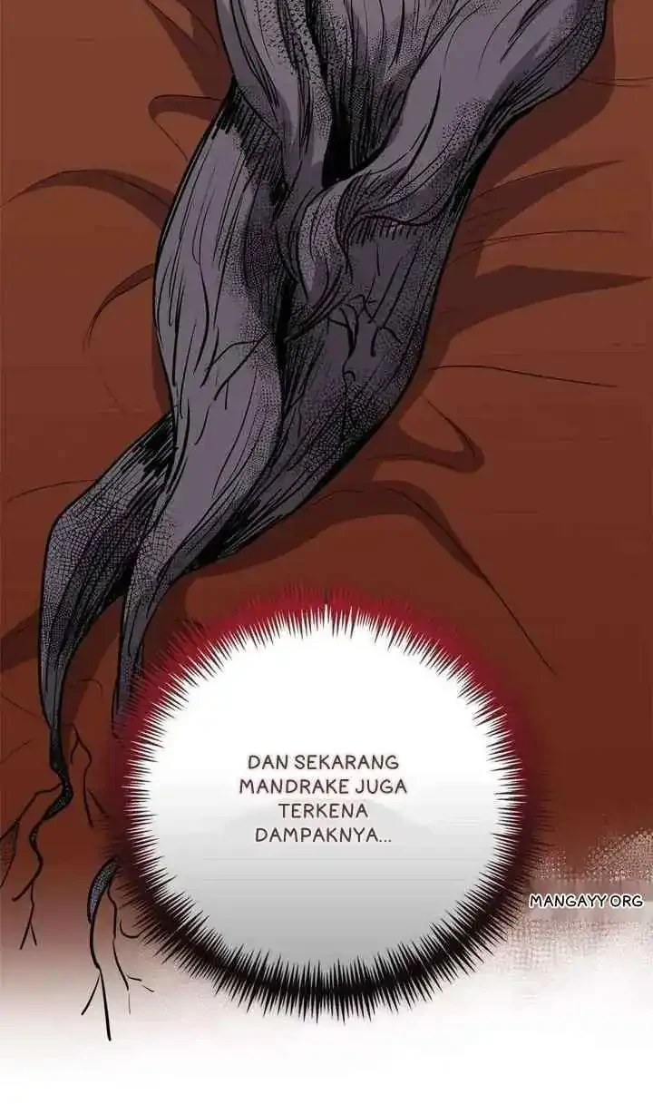 The Beloved Gardener of the World Tree Chapter 24 Gambar 5