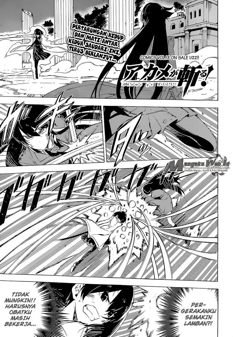 Akame ga Kill! Chapter 66 halaman 6