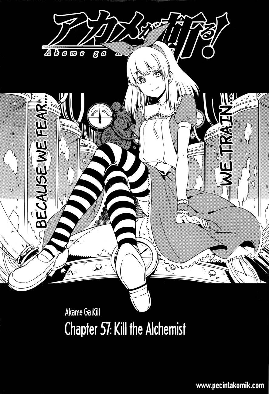 Akame ga Kill! Chapter 57 halaman 3
