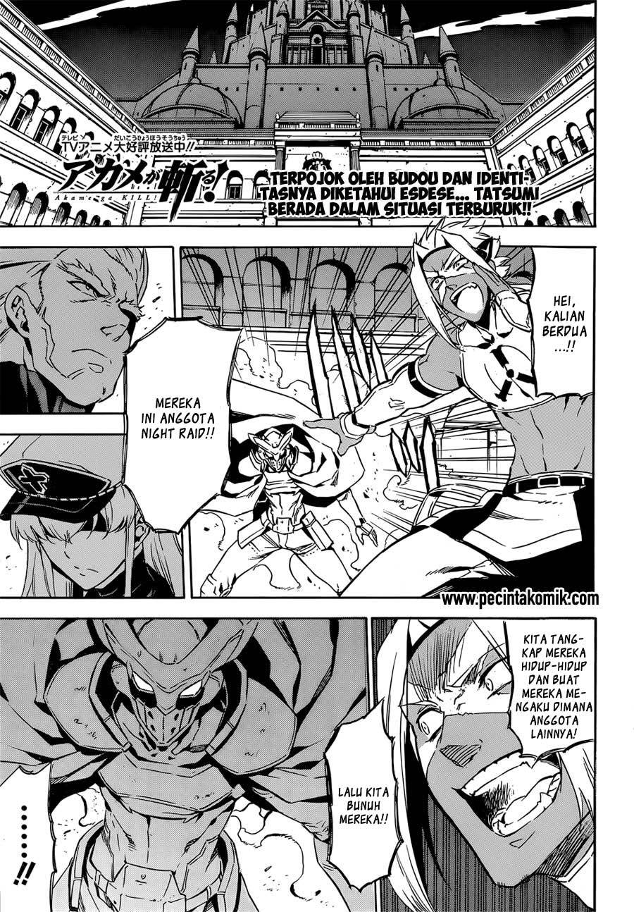 Akame ga Kill! Chapter 52 Gambar 4