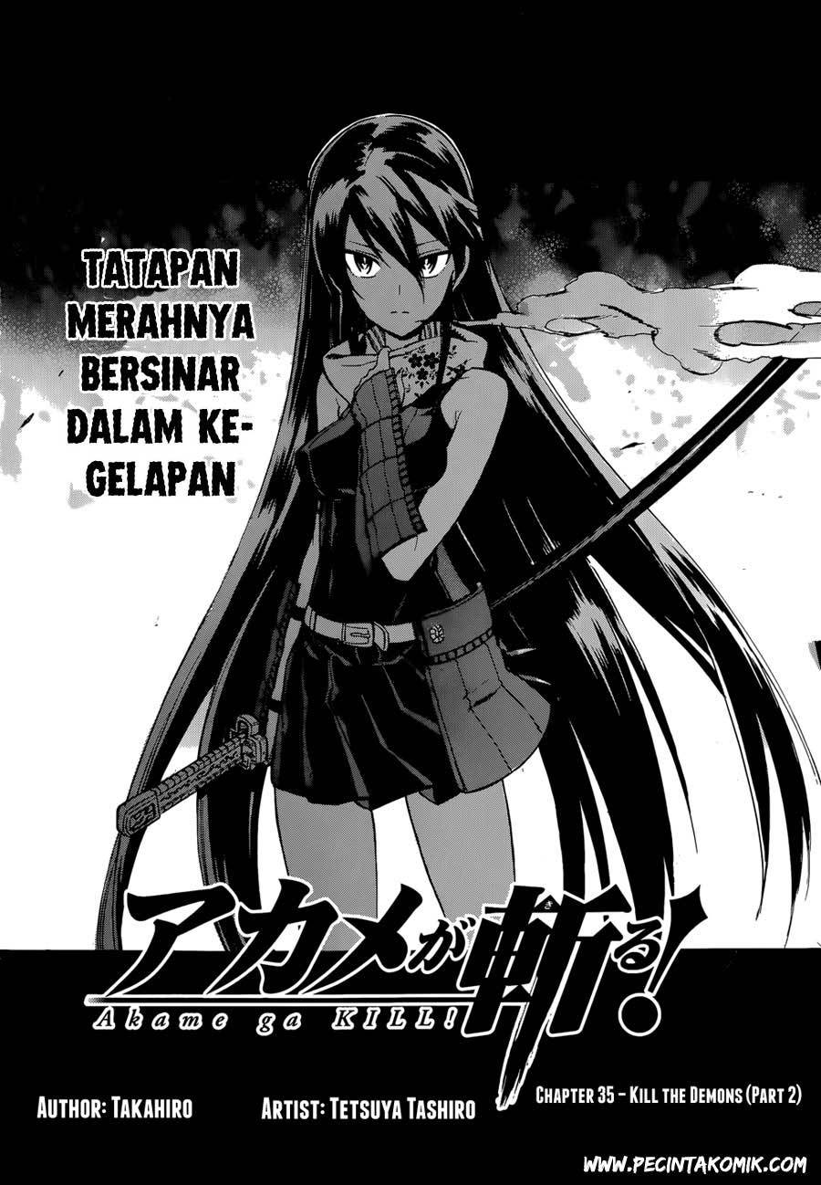 Akame ga Kill! Chapter 36 halaman 5
