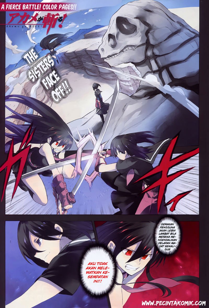 Akame ga Kill! Chapter 30 halaman 3