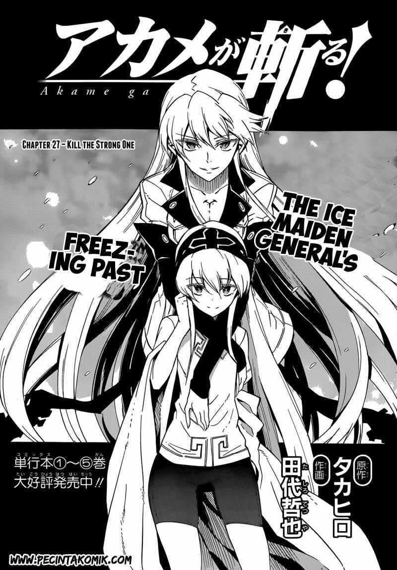 Akame ga Kill! Chapter 27 halaman 4