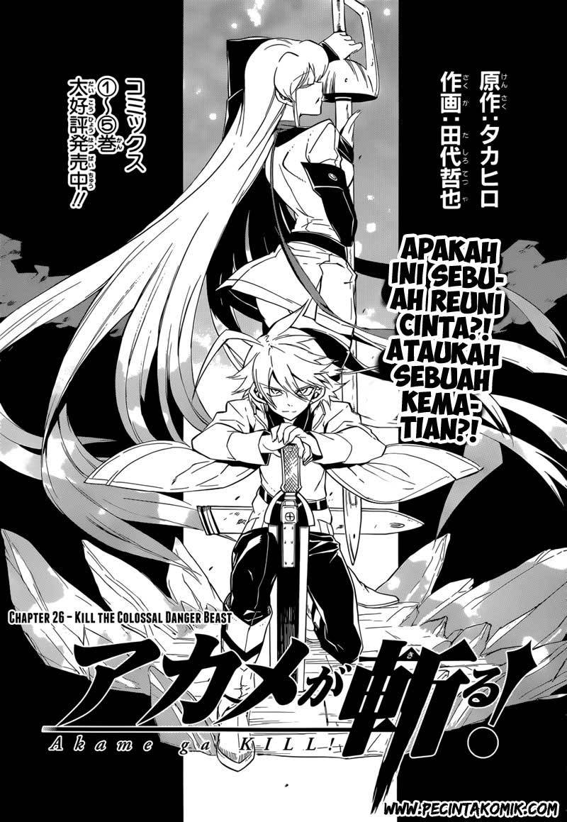Akame ga Kill! Chapter 26 halaman 4