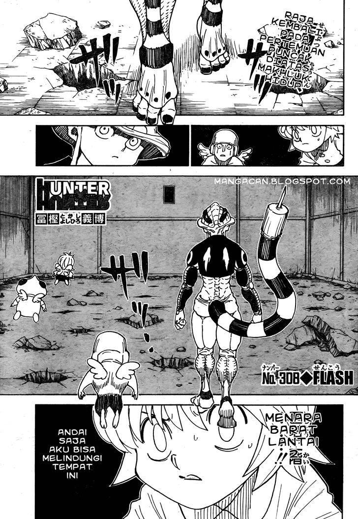 Manga Hunter x Hunter Chapter 308 gambar 2