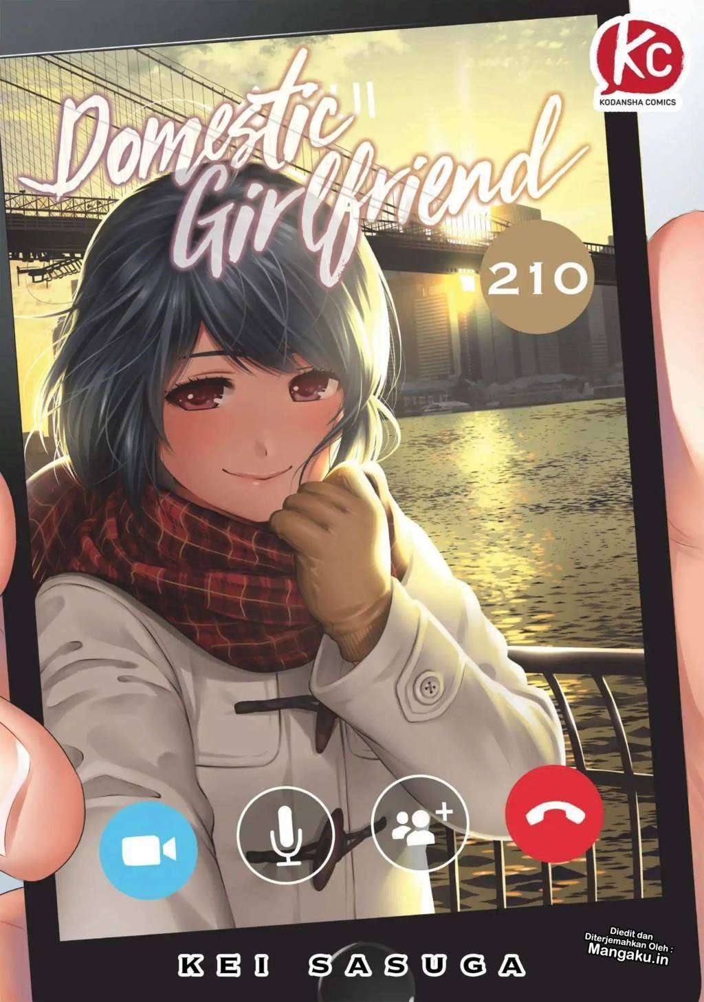 Manga Domestic na Kanojo Chapter 210 gambar 2