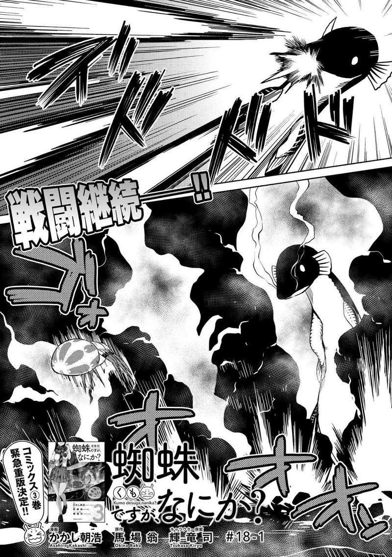 Manga Kumo desu ga, Nani ka? Chapter 18.1 gambar 2