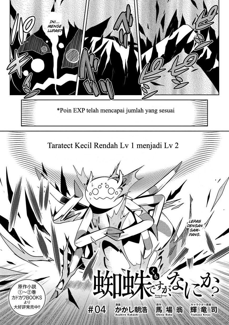 Manga Kumo desu ga, Nani ka? Chapter 4 gambar 2